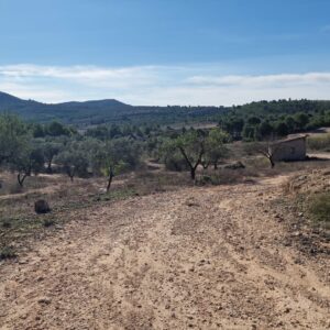Finca del Morcillo, Caudete (Albacete)